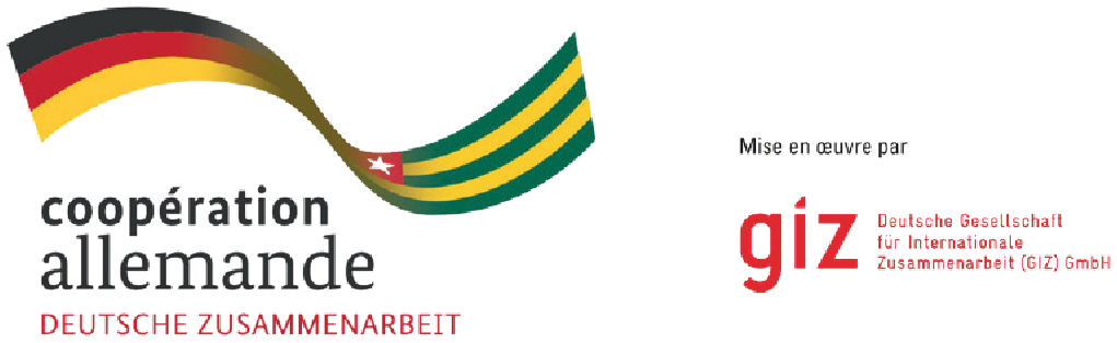 GIZ — Coopération allemande